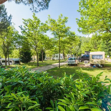 Village Il Poggetto Campeggio